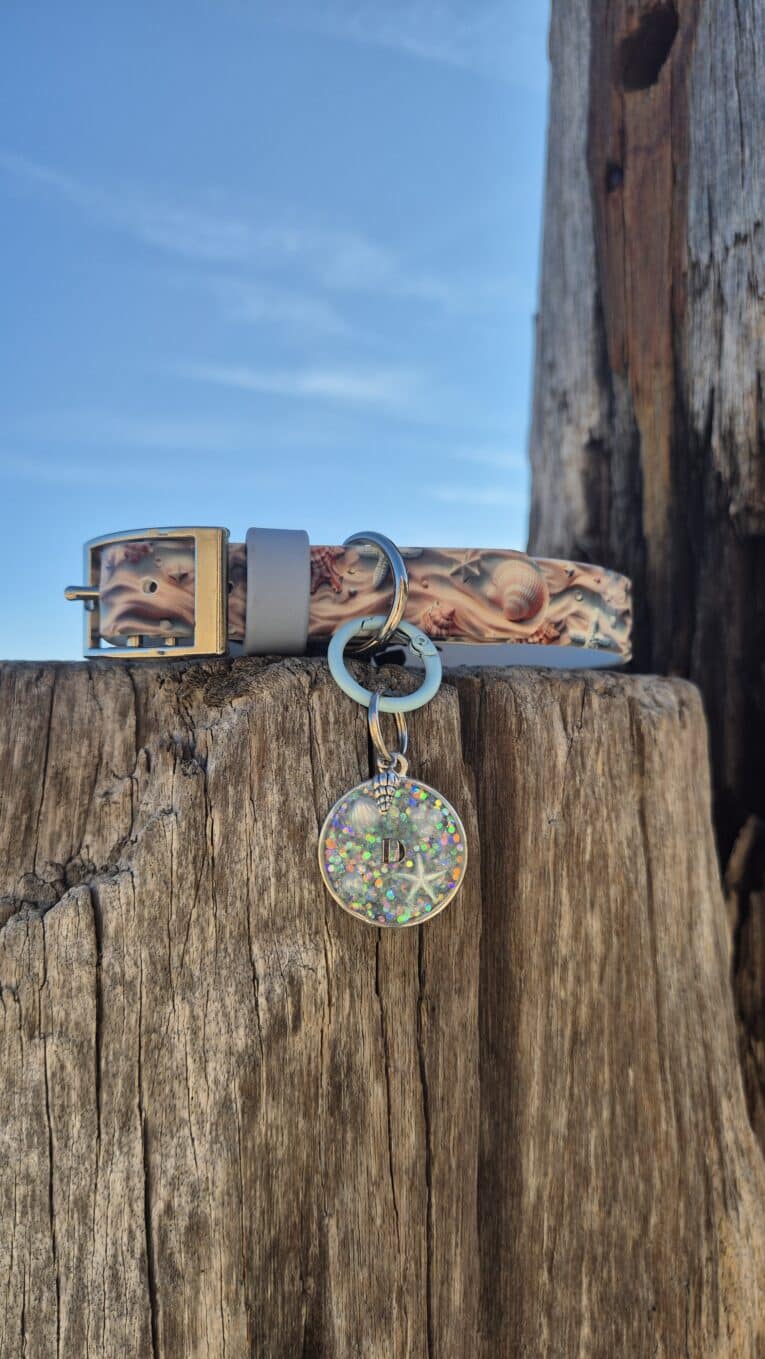 Tails of the coast biothane collar with seashell print and matching personalised resin tag displaying letter D, displayed on weathered wooden post.