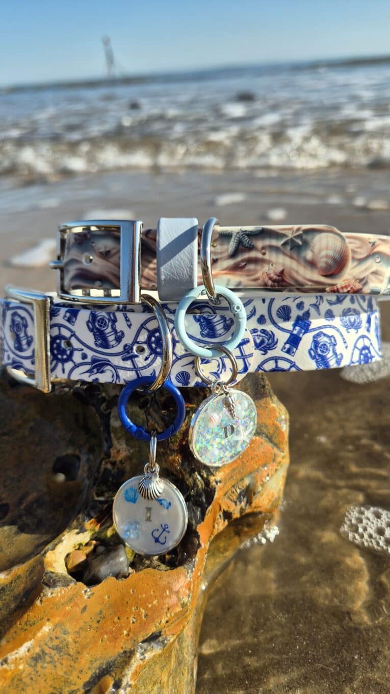 Tails of the coast BioThane collar with blue nautical pattern and matching tag displayed on coastal rocks by the sea.