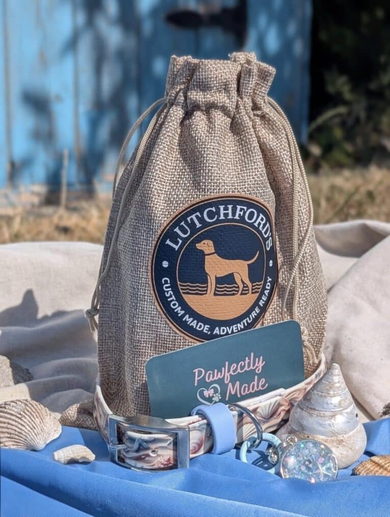 Coastal-printed BioThane collar and handmade resin tag by Lutchfords x Pawfectly Made, displayed with shells and beach accessories.