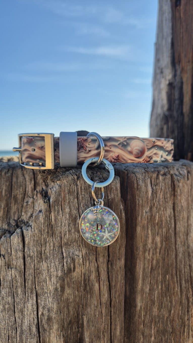 Tails of the coast biothane collar with seashell print and matching personalised resin tag featuring initial D, displayed on weathered wood by the sea.