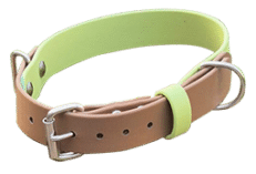 Design Your Own Collar