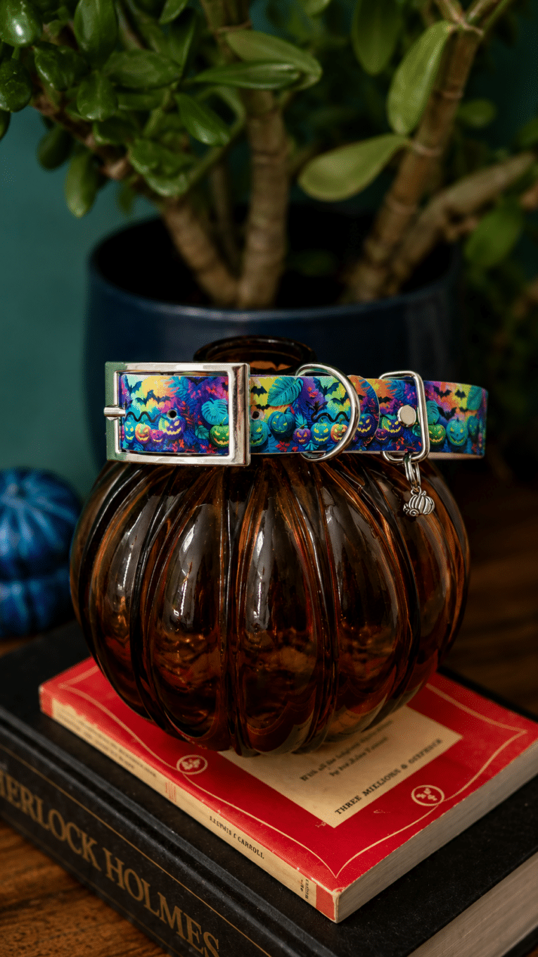 Colourful Halloween-themed handmade dog collar with pumpkin and bat print, displayed on brown glass vessel with books.
