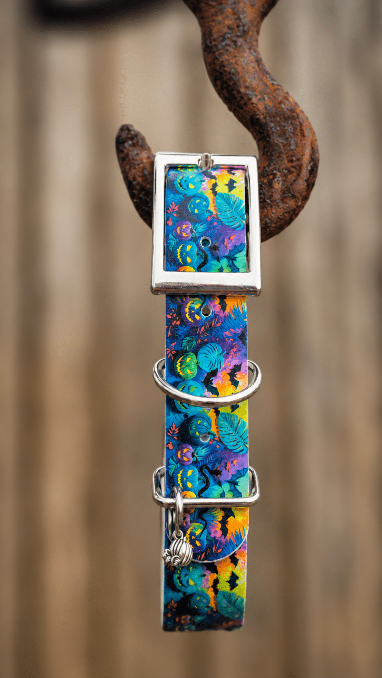 Vibrant handmade BioThane dog collar with tropical floral print, silver hardware, and matching tag holder displayed on rustic metal hook.