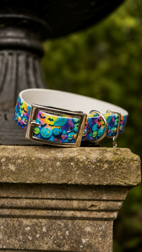 Halloween Print Collars